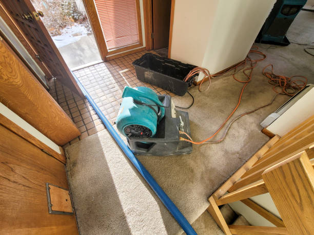 Best Water damage restoration near me  in Carrier Mls, IL