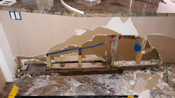 Best Flood restoration services  in Carrier Mls, IL