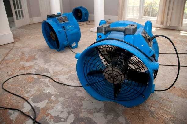 Best Ceiling water damage repair  in Carrier Mls, IL