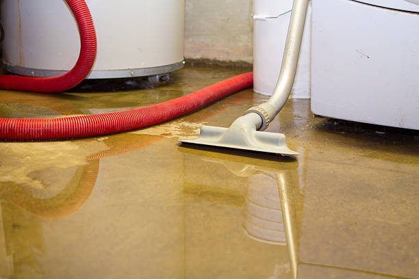 Reliable Carrier Mills, IL Water damage restoration Solutions