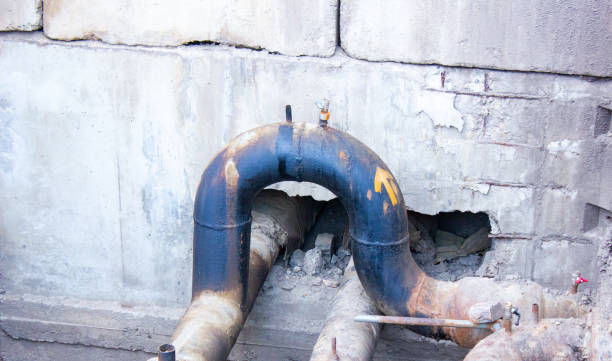 Best Sewage cleanup and water damage restoration  in Carrier Mls, IL